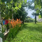 Zamet 500m From Sea, Free Parking, Near To Center Zamet Διαμέρισμα Ριέκα