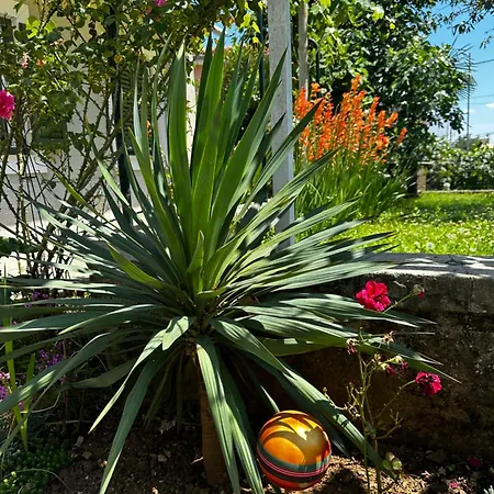 Zamet 500m From Sea, Free Parking, Near To Center Zamet * Rijeka