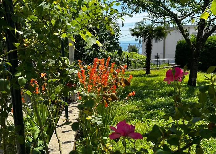 Апартаменты Apartment Rijeka Zamet 500M From Sea, Free Parking, Near To Center Zamet Риека